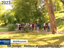 Unfall B247 Bad Langensalza 111