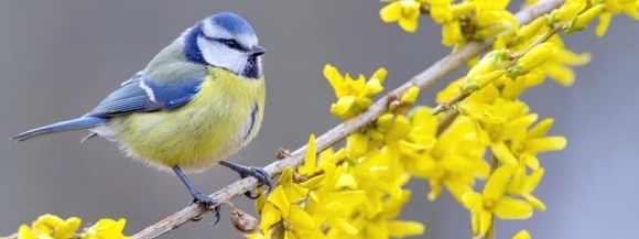 Stimmungsbild-Ursula-Röber-28