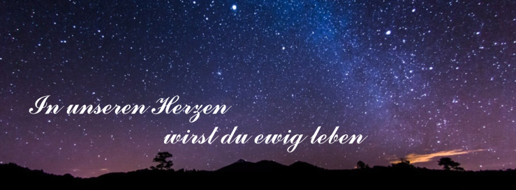 Stimmungsbild-Uwe-Fleißner-1