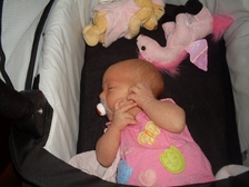 Vanessa Knopfhart 15