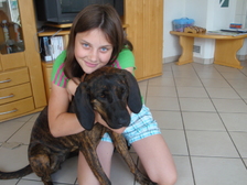 Vanessa Marie Stehle 1