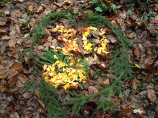 Verena Gronau 20