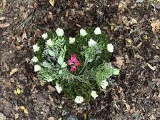 Juliane Watzlawik 21