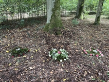 Juliane Watzlawik 22