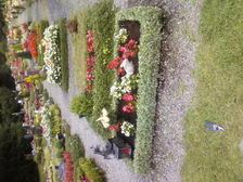 Wilhelm Gunther Wurm 12