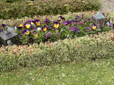 Wilhelm Gunther Wurm 24