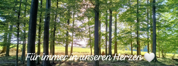 Stimmungsbild-Willi-Hornberger-10