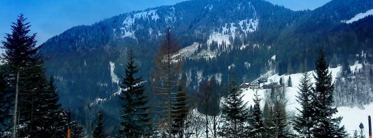 Stimmungsbild-Wolfgang-Thomas-3