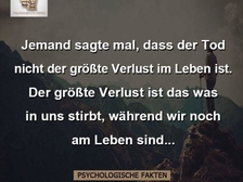 Wolfgang Zimmermann 5