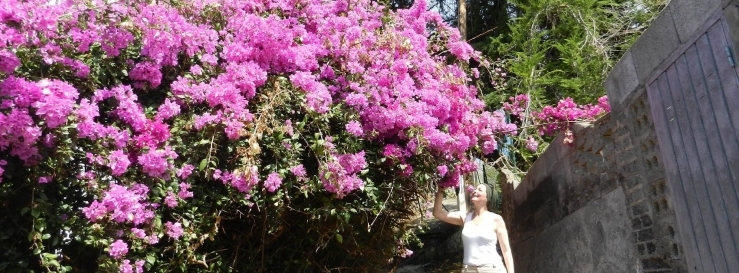 Stimmungsbild-Yasmine-Boenigk-1