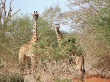 Julia Maria Feldhausen 6